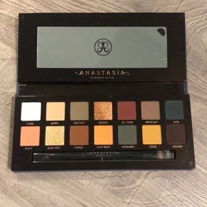 NWB anastasia Beverly Hills subculture palette